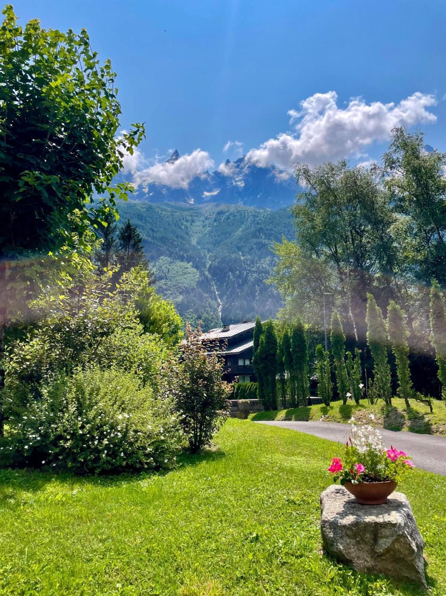 Chalet Hotel La Sapiniere Chamonix Buitenkant foto
