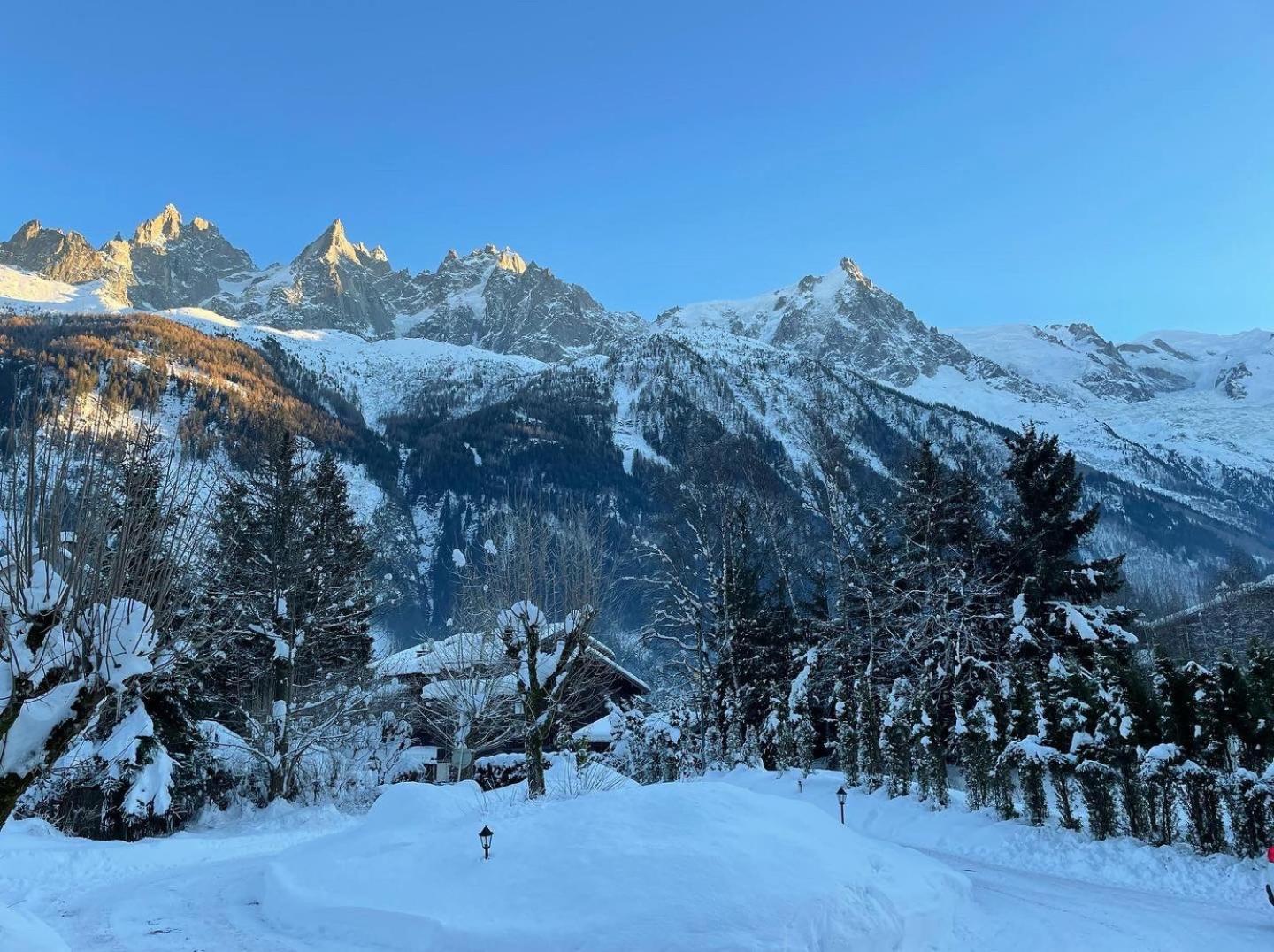 Chalet Hotel La Sapiniere Chamonix Buitenkant foto